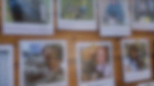 Открытие изолятора для бездомных кошек в приюте в Некрасовке смотреть онлайн