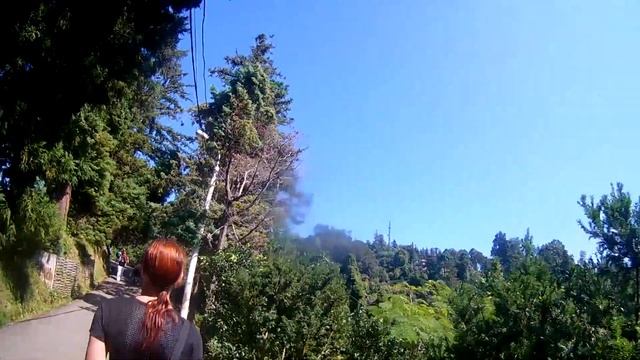 Мотопутешествие Грузия. часть 8. Батумский ботанический сад #мотопутешествиевгрузию смотреть онлайн