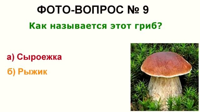 Ты гений ?, если ответишь на все вопросы из школьной программы! You Tube - викторина ? смотреть онлайн