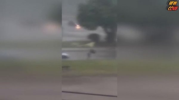 HFM COUB BEST CUBE Best Coub Приколы 2022(80)