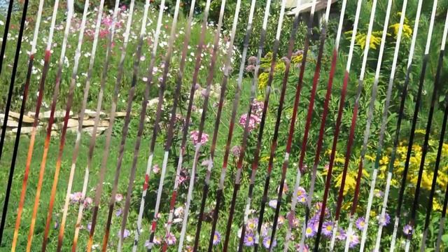 Центр Счастливая Семья смотреть онлайн