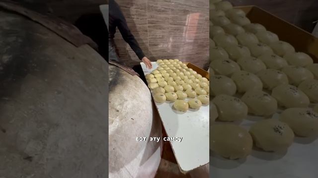 Самса в тандыре #дмитрийшилов #шилов #калининград смотреть онлайн