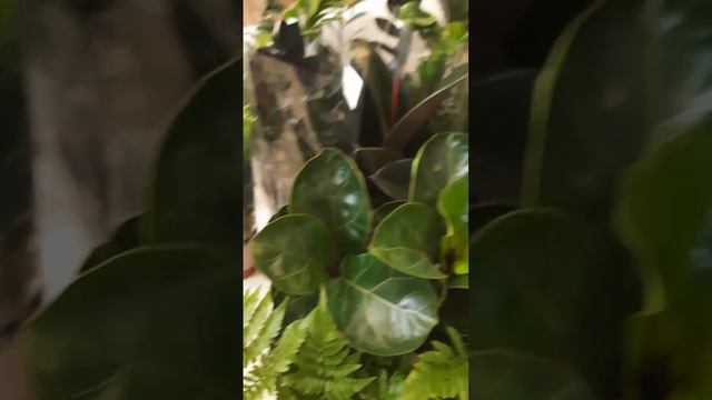 Распаковка 02-08 часть 1 смотреть онлайн