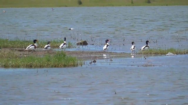 Андреевское водохранилище. Май 2022. смотреть онлайн