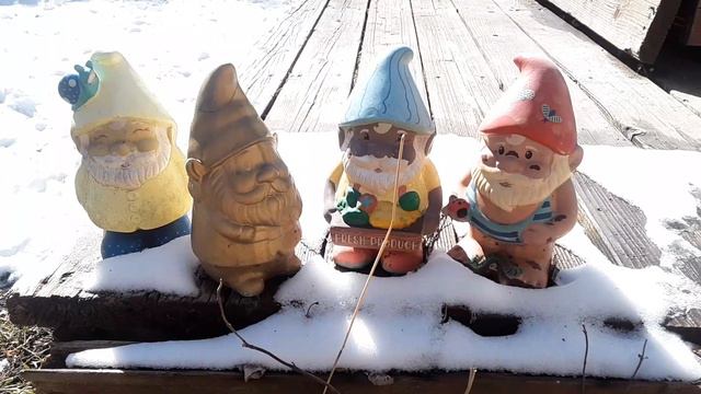 gnomes in snow #fairyliberationfront #naturephotography 2-28-24 10:40 am смотреть онлайн
