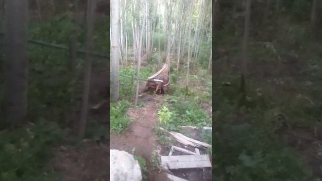 Бесплатное электричество смотреть онлайн