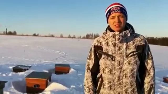 Пчёлы#Зимовка пчёл#наша пасека# смотреть онлайн