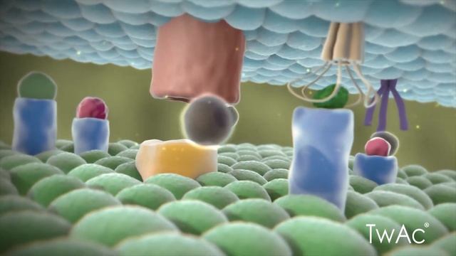 Твейс Видеоролик