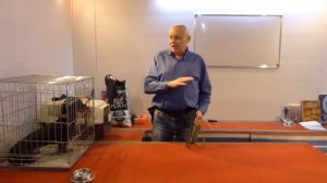 Дрессировка таксы Гавра. День 1