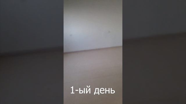 Тепло и комфорт: отопление для дома и дачи