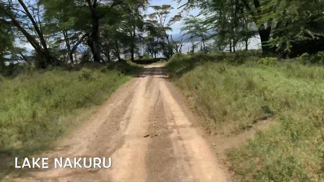Safari @ Lake Nakuru National Park, Kenya Africa 4K - Part 1 смотреть онлайн