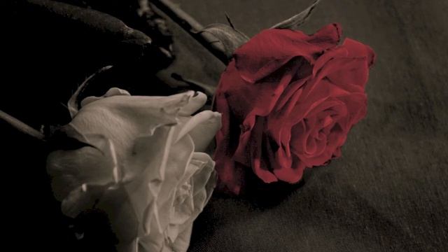 Tango 3x2 (2010) смотреть онлайн