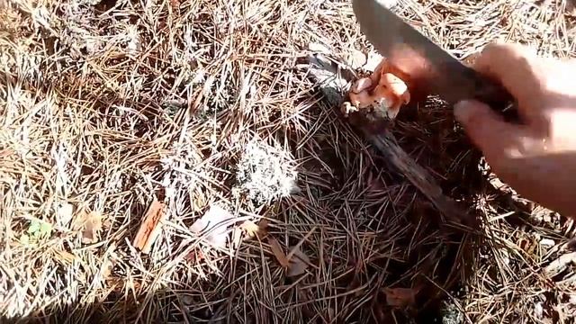 Рыжики пыжики смотреть онлайн