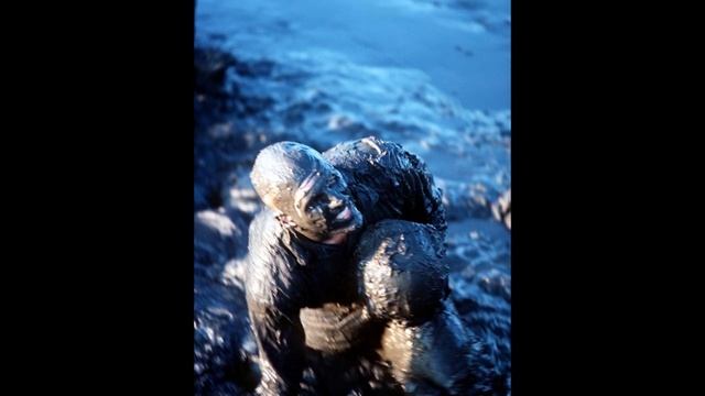 How to Join the Navy SEALS - Navy SEAL Selection and Training (BUD/S, Hell Week) смотреть онлайн
