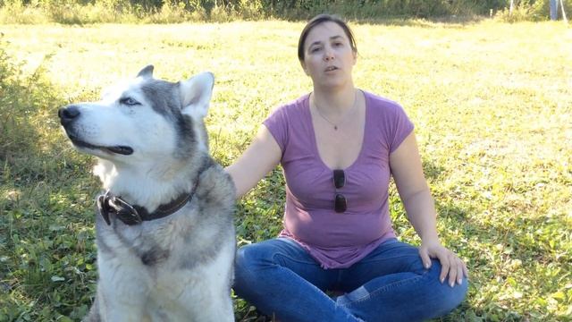 Детское вранье, как научить говорить правду смотреть онлайн