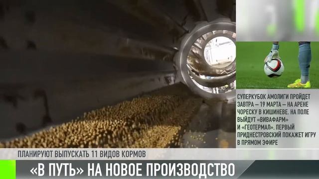 «В путь» за кошачьим кормом смотреть онлайн