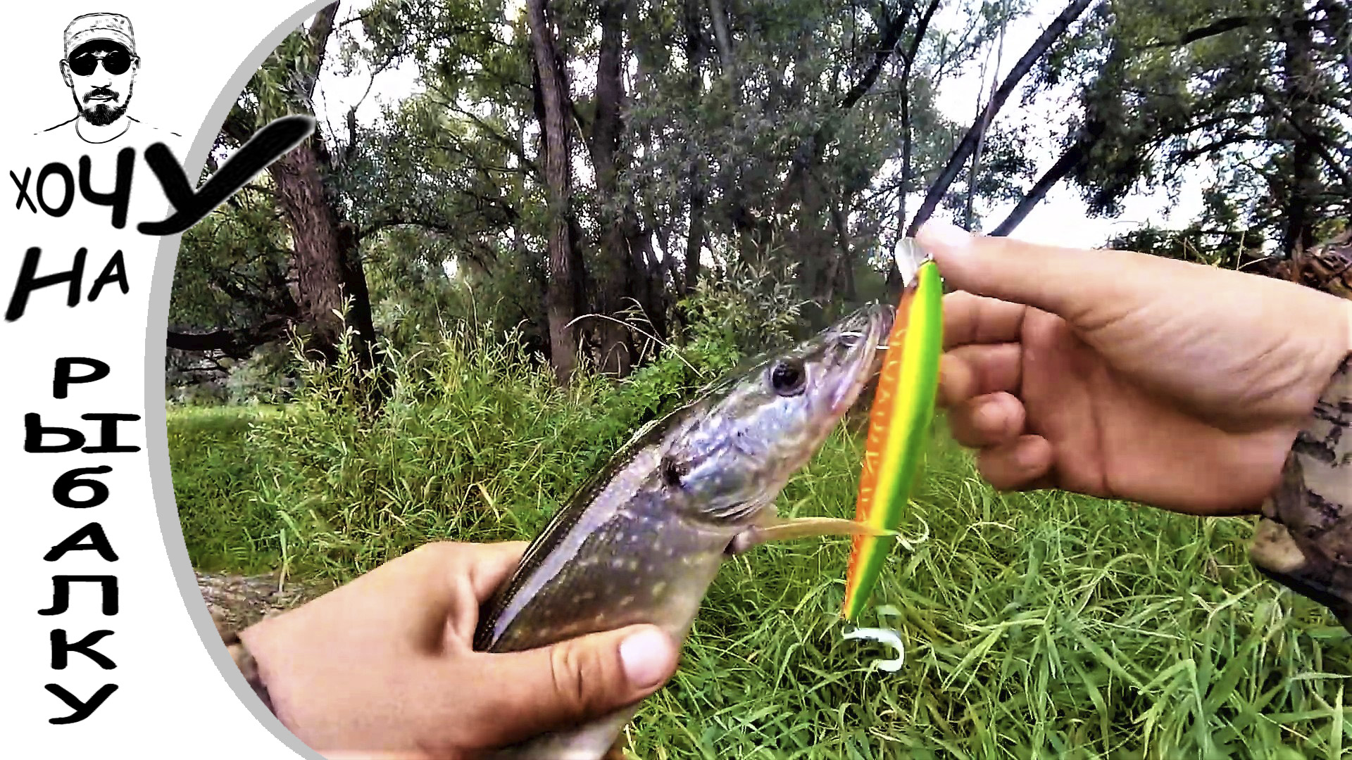 СНОВА НЕ УГАДАЛ С УРОВНЕМ ВОДЫ, НО РЫБ БЫЛ ПОЙМАН. рыбалка на щуку и окуня смотреть онлайн
