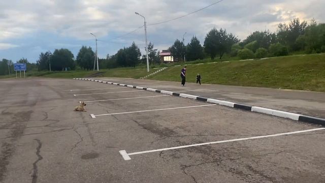 Авто пробег Владивосток Сочи июнь 2022 г смотреть онлайн