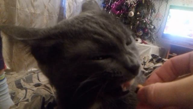 Дикси и сухарики!!! смотреть онлайн