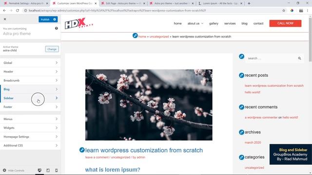 6.Astra pro blog and Sidebar | WordPress Theme customization. смотреть онлайн