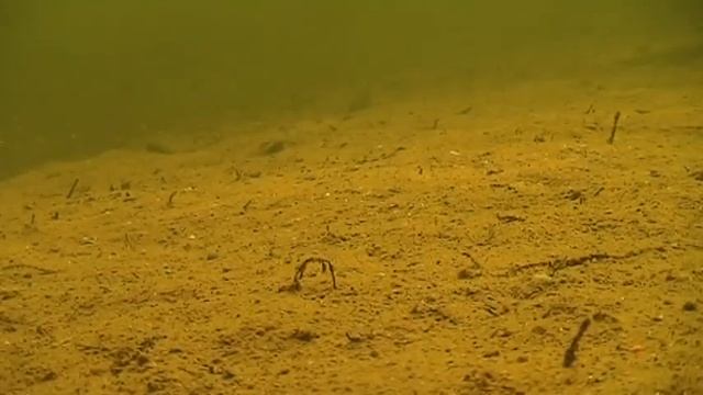 зимнее дно смотреть онлайн