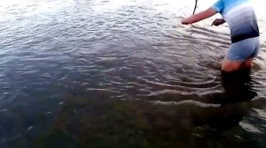 Терек. Сом на закидушку