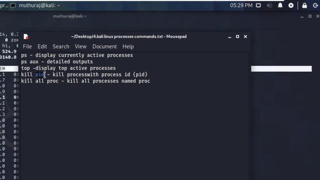 kali linux processes commands(PS,TOP,KILL) смотреть онлайн