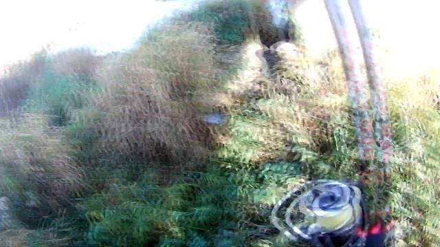 Вязьма река 14.10.18 смотреть онлайн