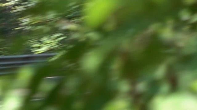 Hillclimb Races VW Scirocco 1 Minichberger Thomas Strasser смотреть онлайн