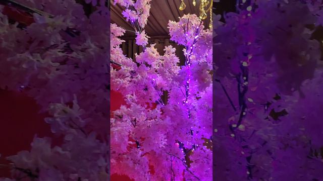 Китайский Новый год Дракона 🐲🏮 смотреть онлайн