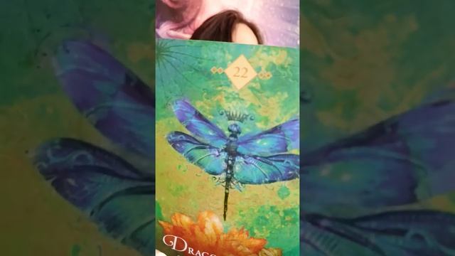 Daily Oracle Reading by Gwyn 11/9~ Wipe the Sleep From Your Eyes смотреть онлайн