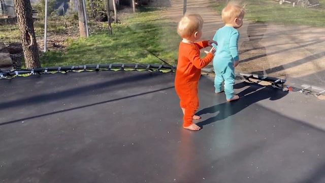 Spring Birdsong & Spring Bouncing. 1.5 Year Old Twins Milo & Boden On Trampoline