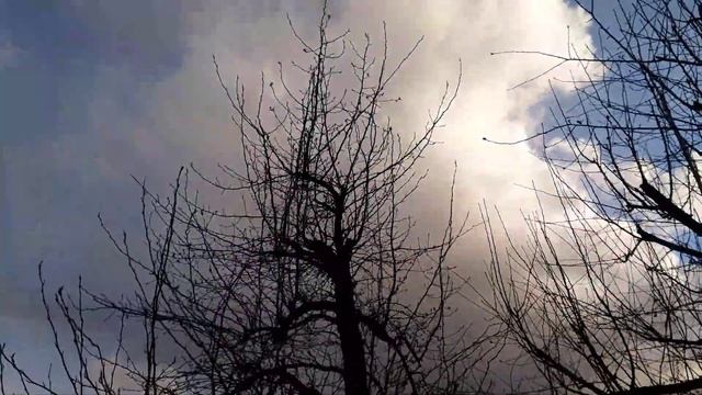 Обработка сада по "зелёному конусу" 27 апреля 2021 смотреть онлайн