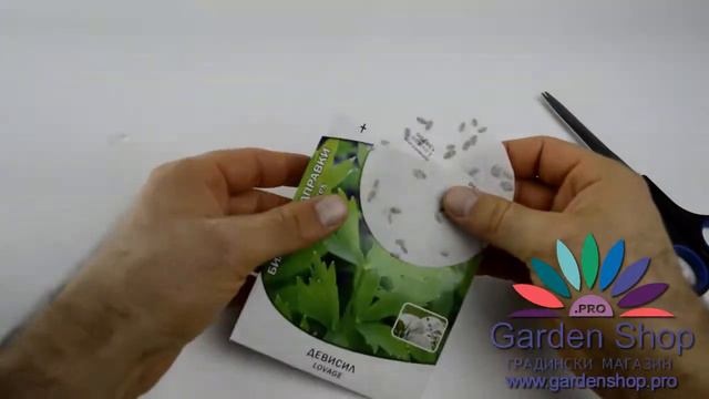 A green seasoning and minced meatballs - Lovage Levisticum officinale смотреть онлайн