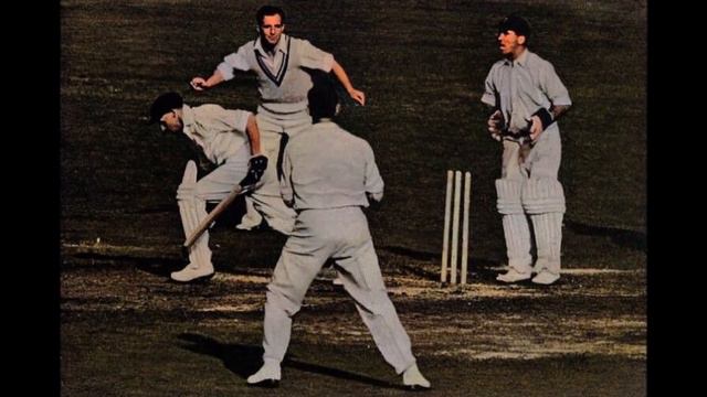 Bradman's final innings - in colour смотреть онлайн
