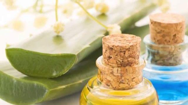 MEREU IN FORMA - Planta saptamanii: Aloe Vera смотреть онлайн