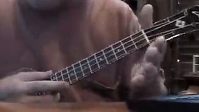 lesson- Playing B flat on Ukulele смотреть онлайн