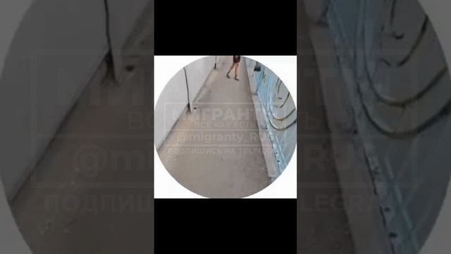 Самый разыскиваемый преступник Саратова смотреть онлайн