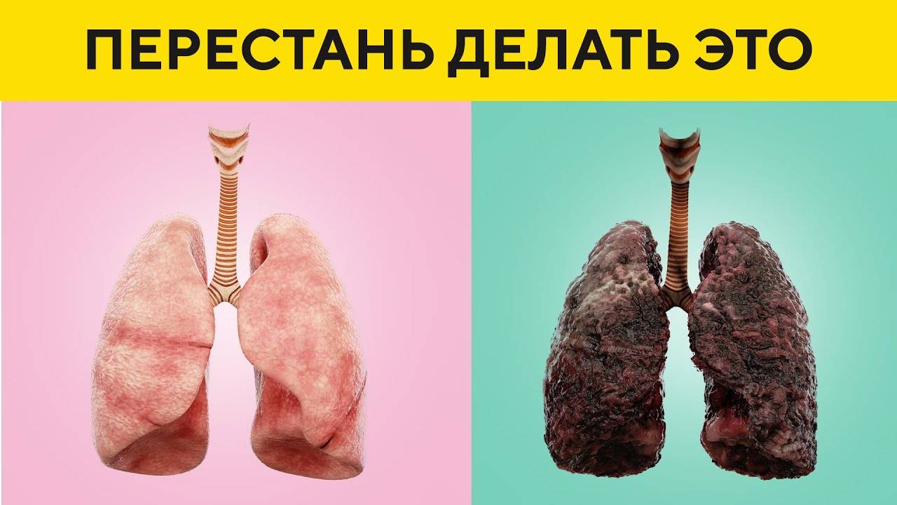 Что Происходит с Телом, Если Бросить Курить смотреть онлайн