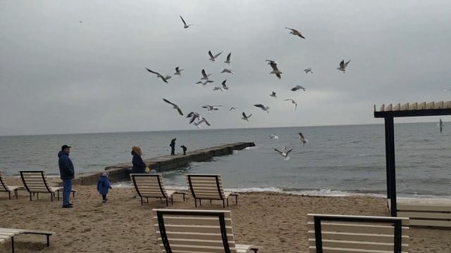 Мариуполь. МОРЕ в пасмурный день. Конец ноября 2021 смотреть онлайн