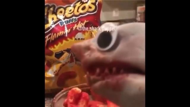 Shark Puppet Scream Compilation смотреть онлайн