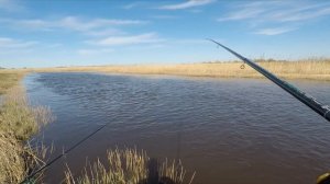 Ловля плотвы на поплавок CRALUSSO BOLO