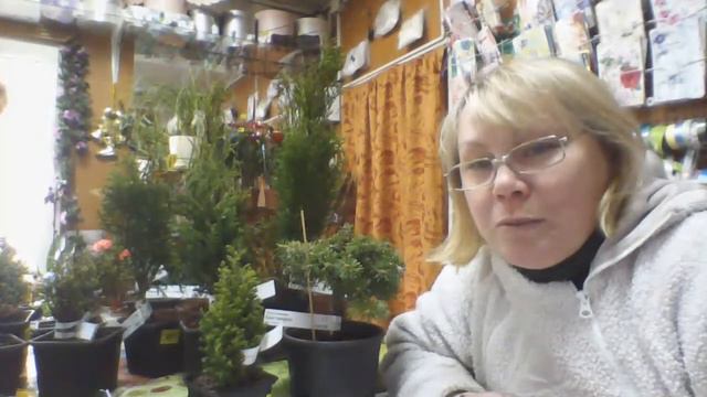Поступили в продажу туи и многое другое)))) смотреть онлайн