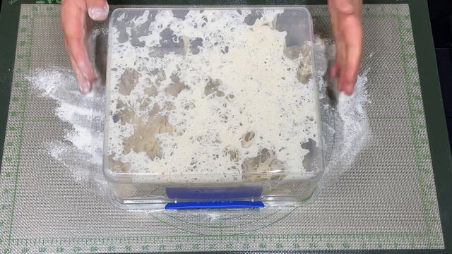 Das einfachste Brot mit Übernachtgare nur 5 Minuten Aufwand, täglich frisches Brot # 102 смотреть онлайн