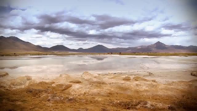 Turismo en el Altiplano Chileno смотреть онлайн