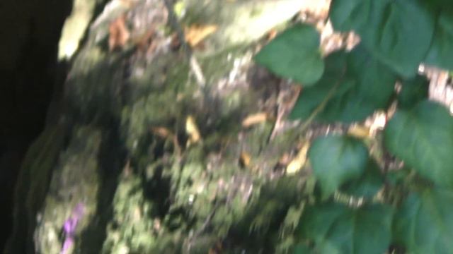 Клуб путешественников: Мир на ладони - Лазаревское смотреть онлайн