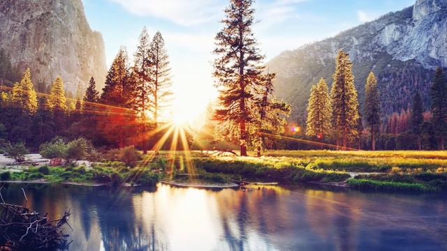GOOD MORNING MUSIC | Bird Singing For Waking Up | Boost Positive Energy and Stress Relief смотреть онлайн