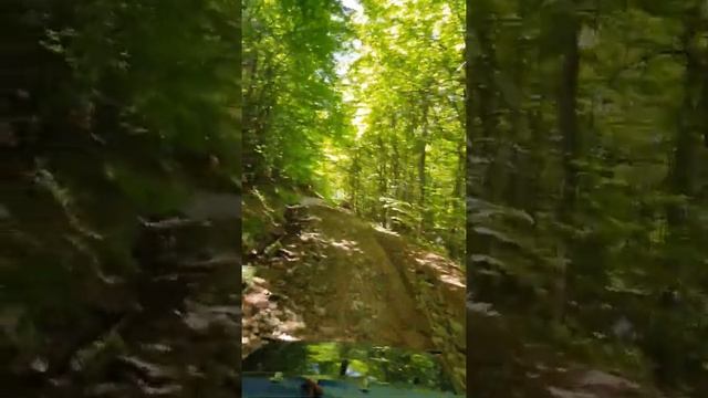 Всей Дружной семьёй поехали в Прикарпатье. Село Микуличин Отдых в горах смотреть онлайн