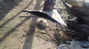 Сеялка СЗС-2,1//самодельный россев семян, сплошной посев