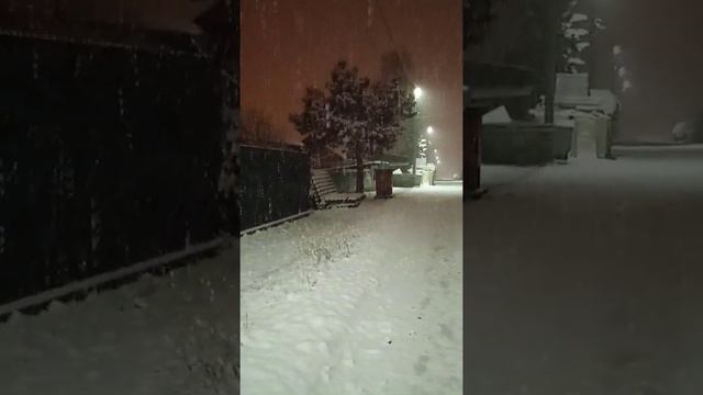 Снегопад 23.04.2022. Новосибирская область, г. Бердск смотреть онлайн